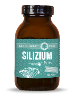 Silizium